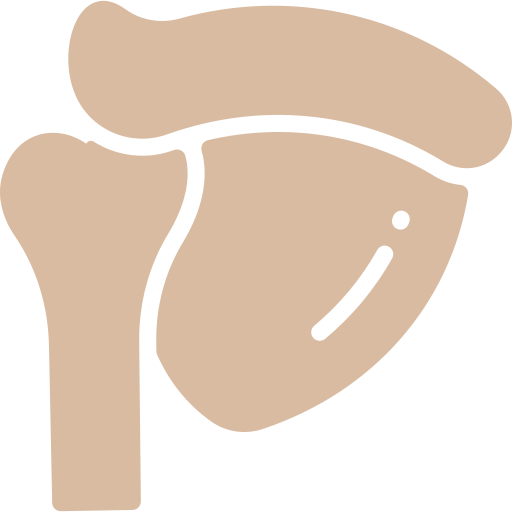 shoulder-blade
